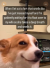 fart.png