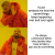 IMG_6026.png