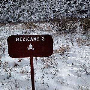 BBRSP 2015 Mexicao 2 camp site