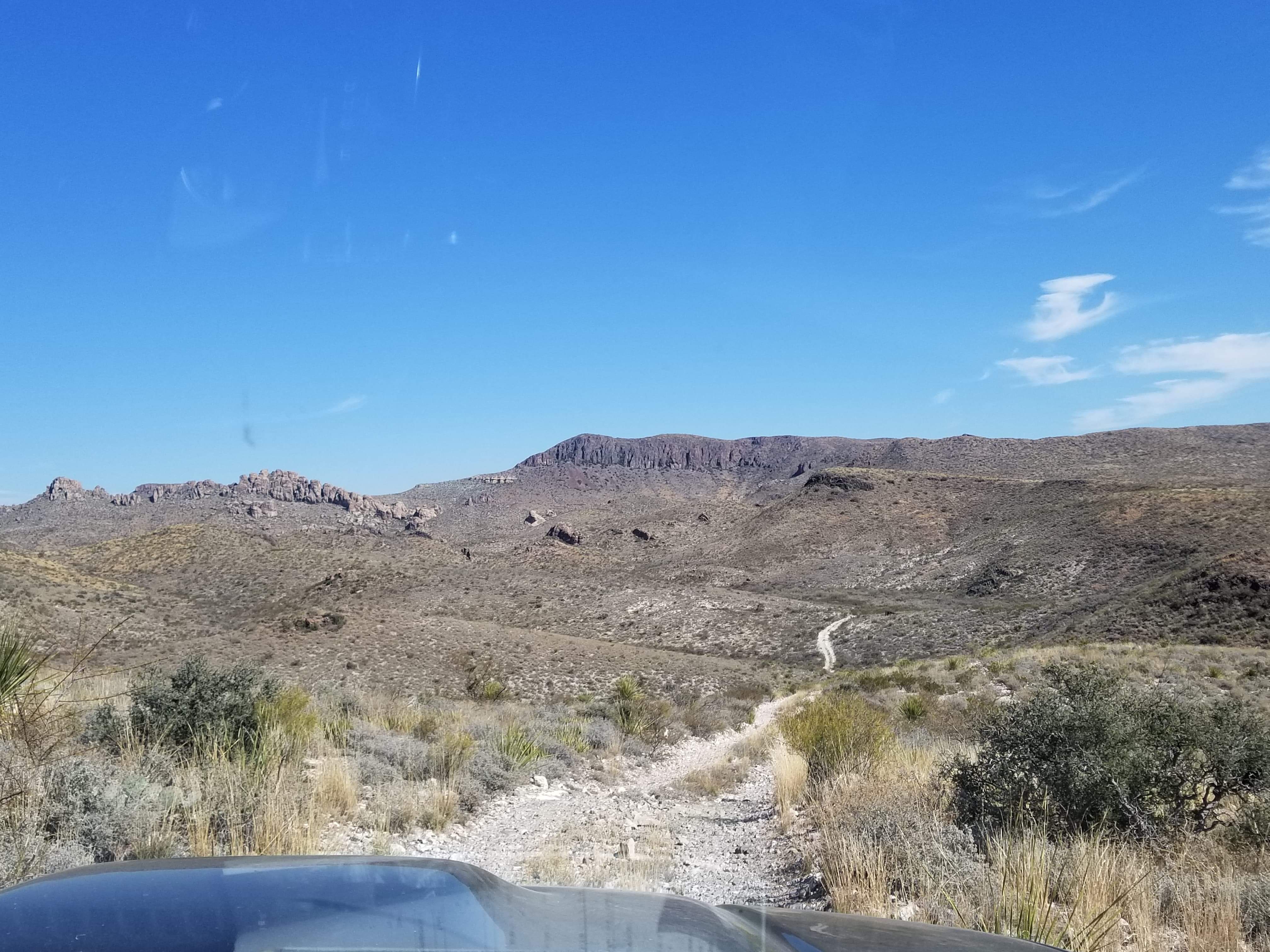 Received_257719948227079